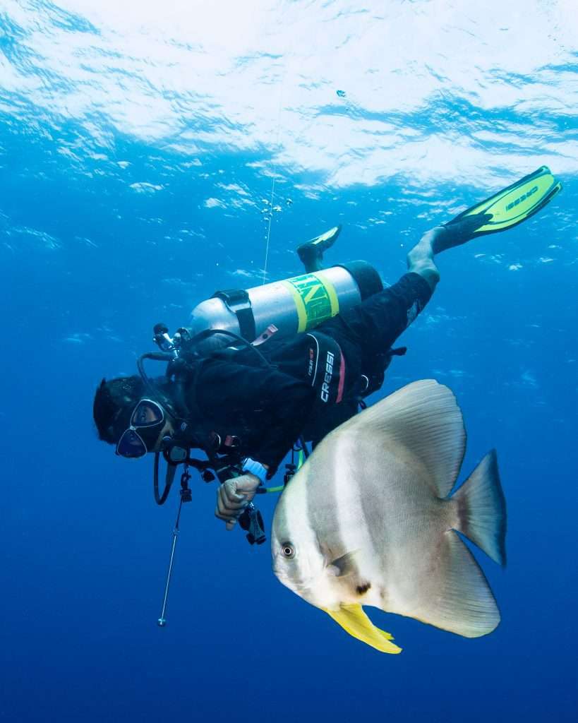 scuba diver on safety stop