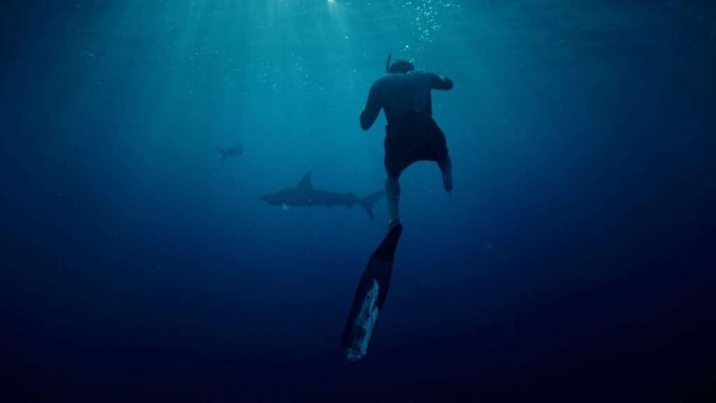 The Call