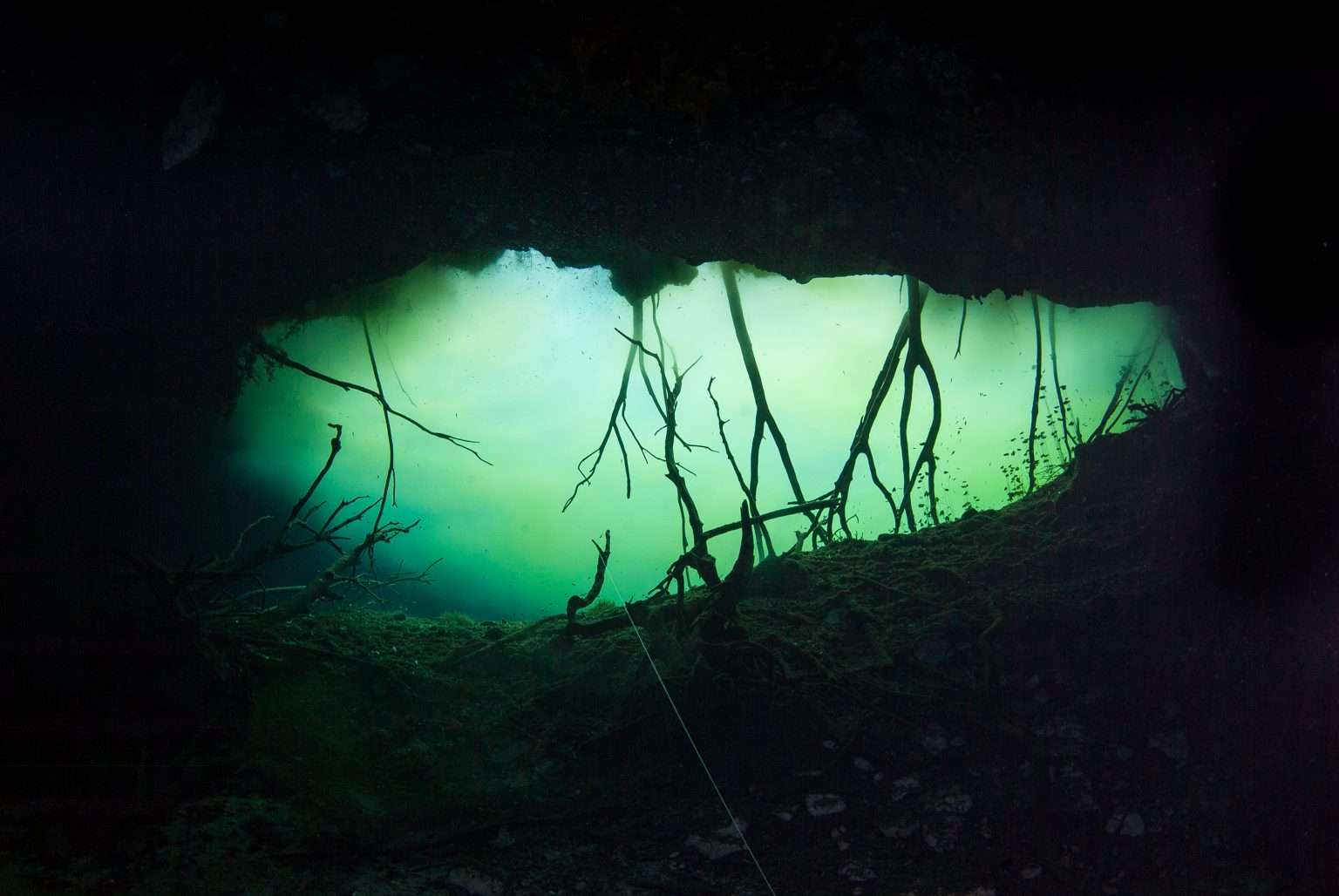 Cenote Car Wash